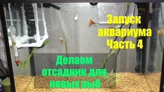 Отсадник для мальков своими руками.Запуск аквариума Часть 4