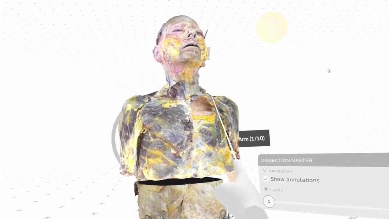Tutorial Dissection Master XR YouTube
