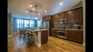 789 Opie Ct, San Jose, CA 95133 ~ Tung Nguyen ~ Movoto Real Estate