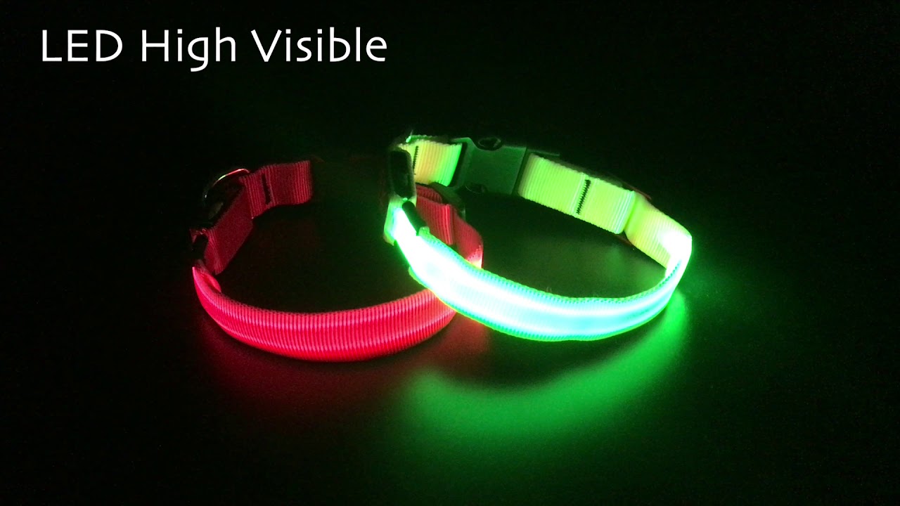 2021 Top LED Dog Collar BSEEN Nylon bing Light Up Dog Collar Be