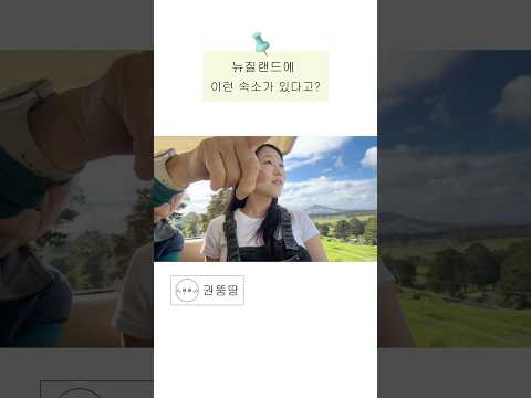 그저 ‘숙소’가 아니었던 뉴질랜드의 한 공간 #뉴질랜드 #워킹홀리데이 #여행브이로그