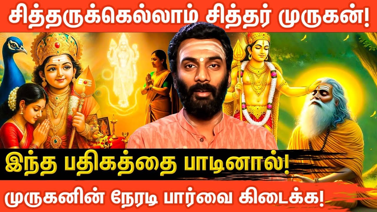 சித்தர்கள் வணங்கும் முருகன்✨ | 100 கோவில் தரிசனம் தரும் ஒரு பதிகம்! | Vijayakumar | Aanmeegaglitz