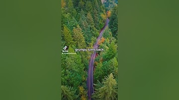 7 dwarfs joke #dadjokes