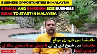 Business ideas to start in Malaysia Entrepreneurs ملائیشیا میں شروع کرنے کے لیے کاروباری آئیڈیاز