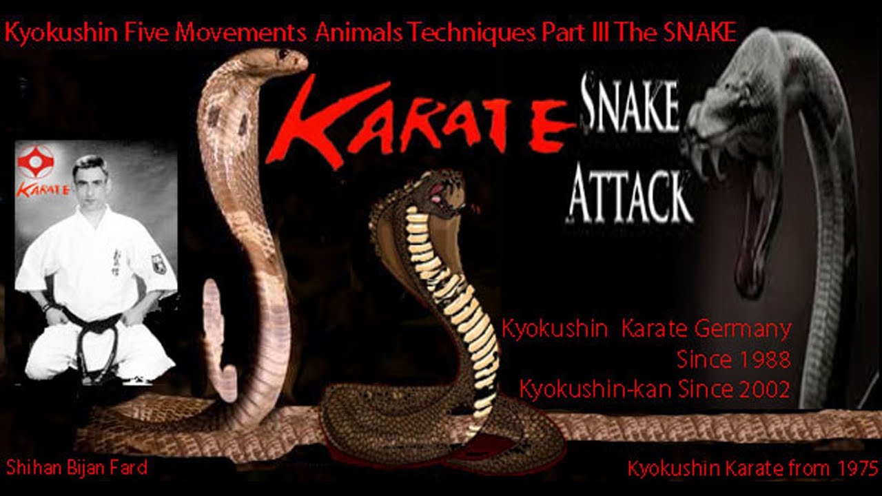Five Movements Animals Techniques Part III The Snake . Kyokushin Ryu