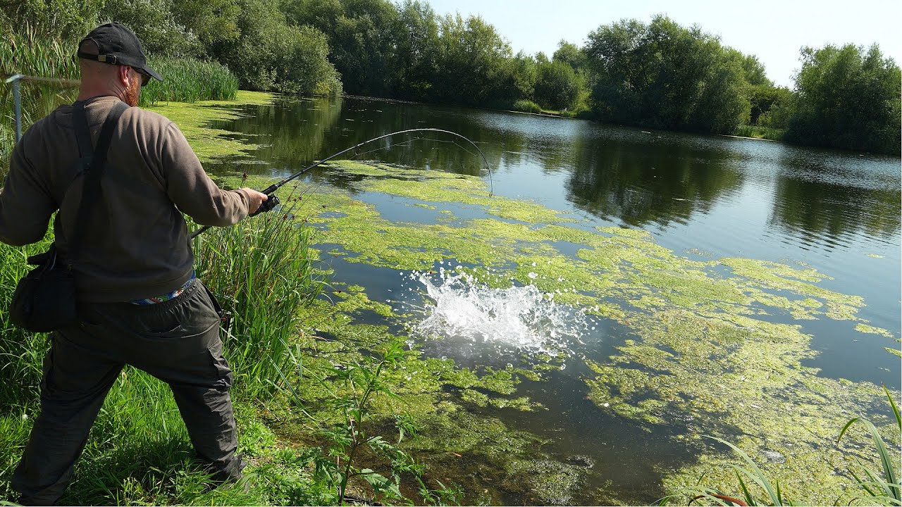 BIGGEST I'VE EVER CAUGHT! I Should've tried this sooner!