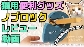 【猫用便利グッズ紹介動画】ノブロックを使用して猫がドアを開け脱走を防ぐ方法【猫と快適に暮らす方法】