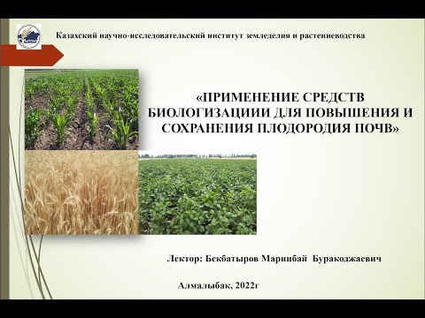 Применение средств биологизации для повышения и сохранения плодородия почв