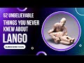 52 Unbelievable Things You Never Knew About Lango Region 52 Unbelievable Things You Never Knew About Lango Region
