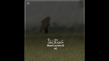 ولا تشتروا بعهد الله ثمنا قليلا، حالات واتس اب ، القارئ أدريس ابكر