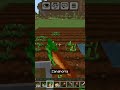 Sabias esto ?? #minecraftshorts #ideas #fyp #parati #minecraftutorial #gaming #diversiongamer