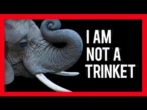 Stop Wildlife Crime: Elephants