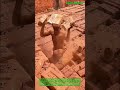 How Many Bricks Can One Man Carry? : The Unbelievable Skill of Brick Workers