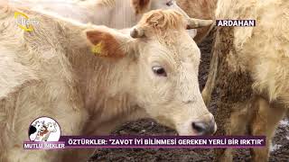 Büyükbaş Irkları Hakkında Bilinmeyenler - Mutlu İnekler Çiftçi Tv