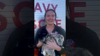 Firefighters save house and two pet bunnies in possible Lithium battery blaze @fireandrescuensw