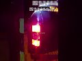 Police Save Bobcat Stuck In Car