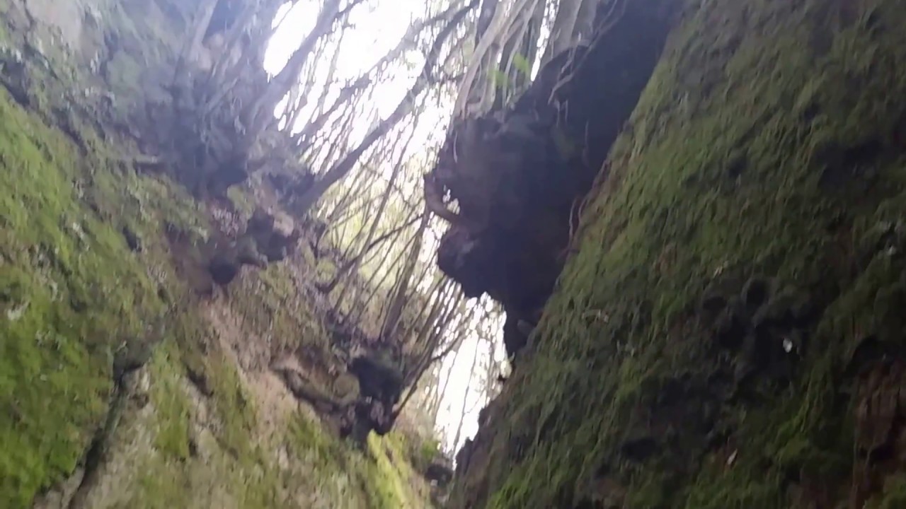 Vie Cave Degli Etruschi YouTube