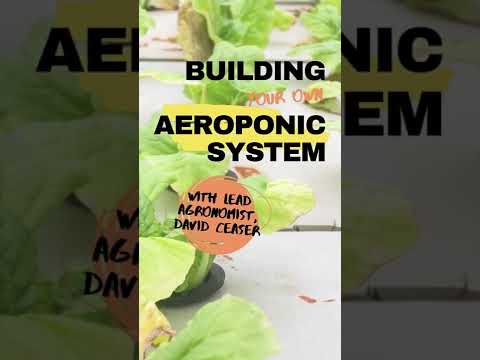 Video: Aeroponic Gardening - How To Create a Aeroponic System For Plants