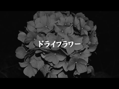 ドライフラワー 優里【歌ってみた / Pokke Music】