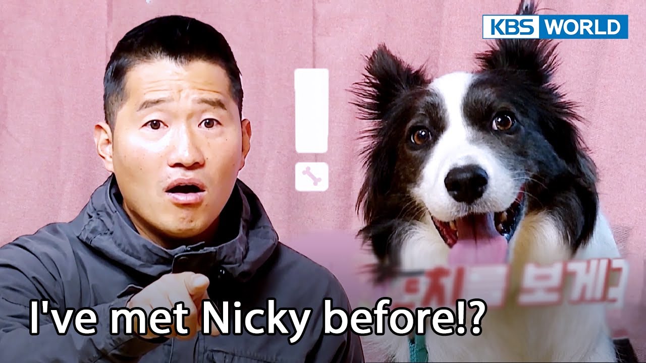 I have to hear this from you, ma'am 😲 [Dogs are incredible : EP.153-3] | KBS WORLD TV 230117