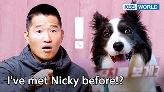 I have to hear this from you, ma'am 😲 [Dogs are incredible : EP.153-3] | KBS WORLD TV 230117