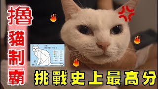 【豆漿  SoybeanMilk】接受撸貓挑戰　豆漿這個分數太扯了