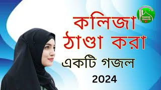 জিন্দাবাদ জিন্দাবাদ  নবীর সেনা জিন্দাবাদ_নতুন গজল ২০২৪ নতুনএকটিগজল__ ইসলামের আলো