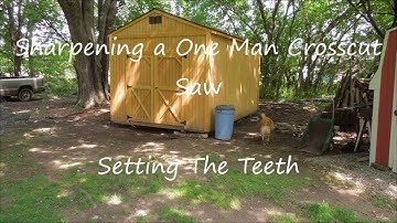 One Man Crosscut - The Real Old Sneelock