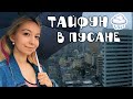 Корея VLOG#15 / Пусан: пережили тайфун, корейский тиндер, Гамчон