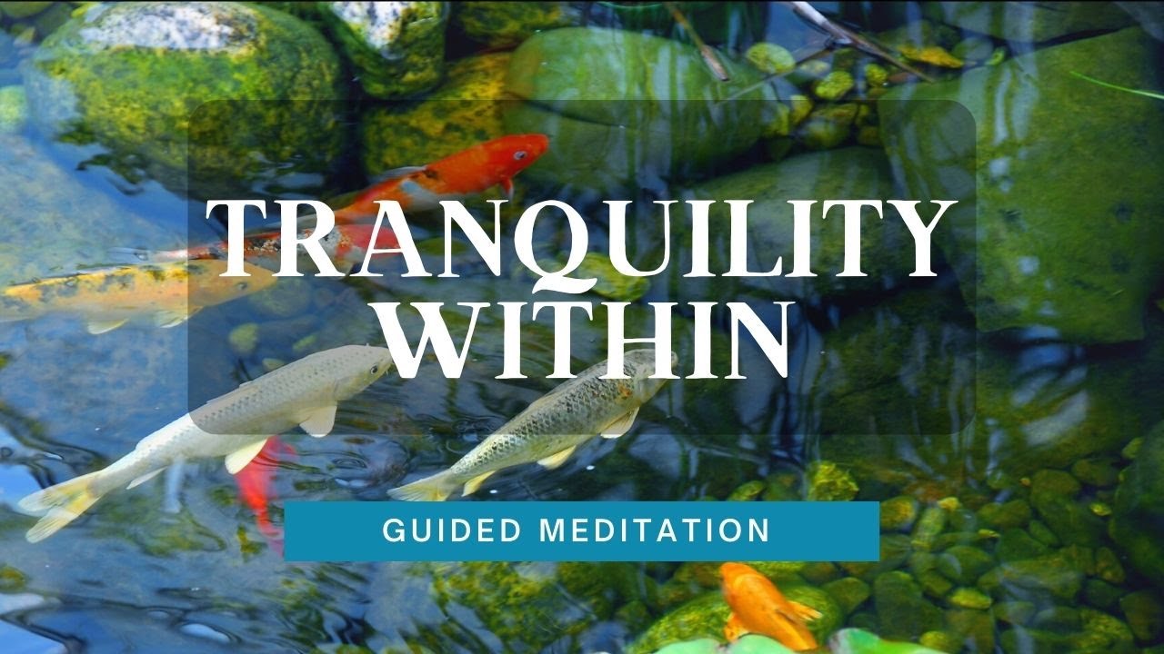 Tranquility Within: Guided Meditation for Peace at Gaza Strip - YouTube