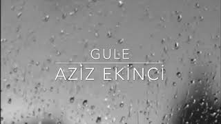 Gule - Aziz Ekinci Resimi