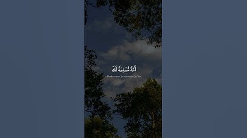 سورة البقرة - الآية 128 - تلاوة ماهر المعيقلي | #قرآن  #ماهر_المعيقلي
