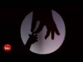 What A Wonderful World (hand puppet)