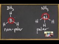 Understanding Molecular Polarity