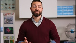 Recycling Simplified Teacher Overview Grades 6-8