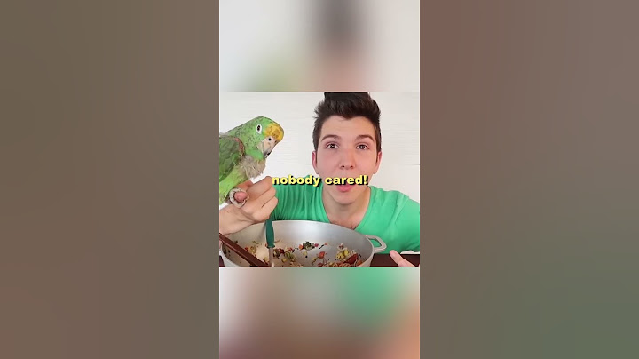 How Nikocado Avocado Shocked The Internet With A Genius Move!