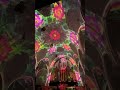 Vivaldi light show, Presbyterian church #vivaldi #lightshow #church #toronto #torontolife #canada