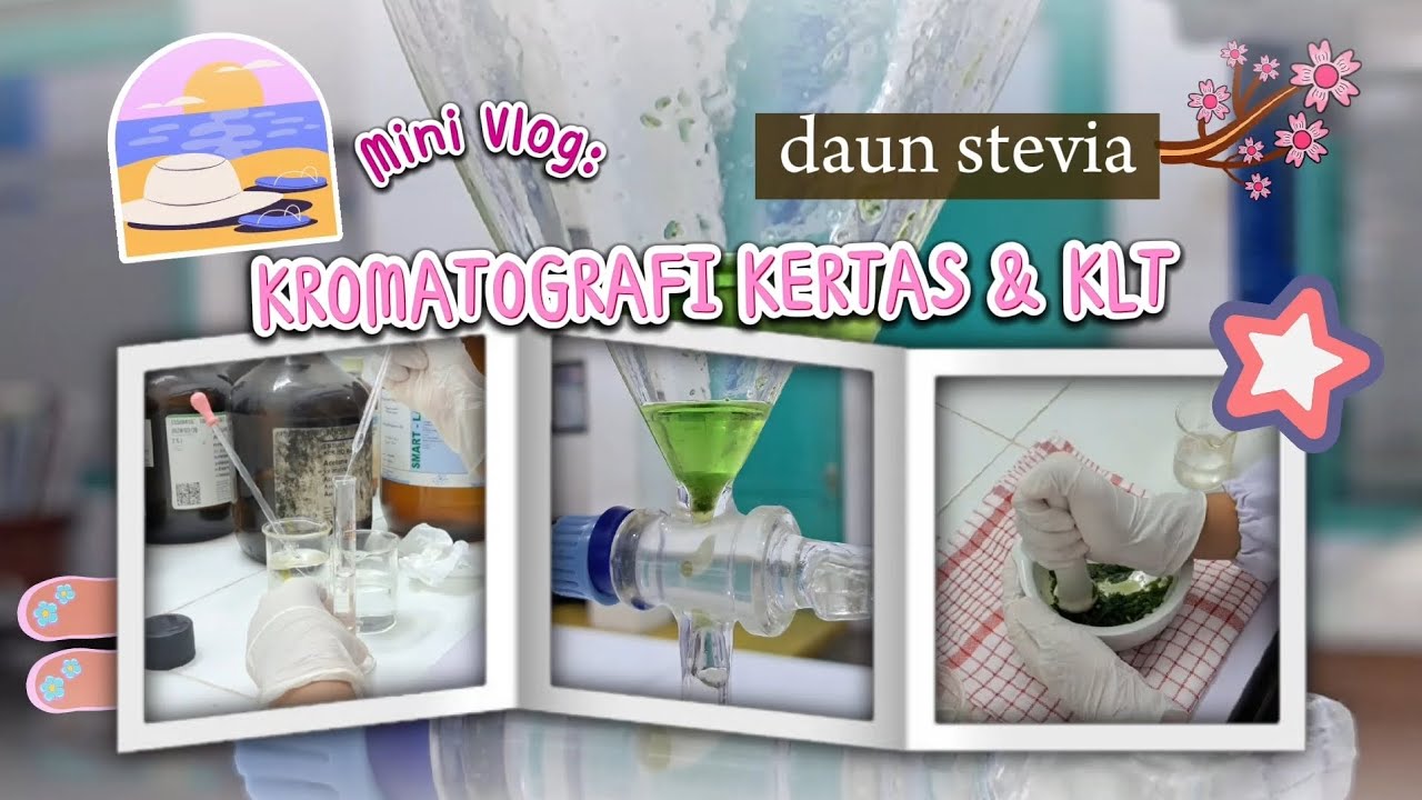 kromatografi again! sample klorofil daun stevia 🌱🌿🧫