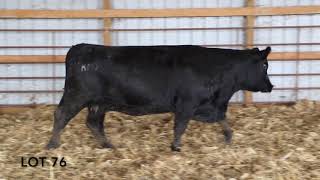 LOT 76 KMJ MS SFORCE C331