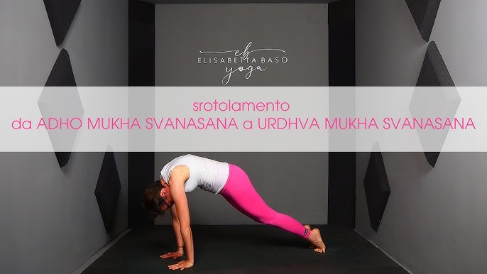 Yoga Videos  Chaturanga Dandasana-Urdhva Mukha Svanasana Transition