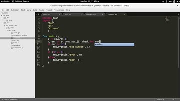 How to write program for even or odd with command line input with golang