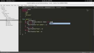 How to write program for even or odd with command line input with golang
