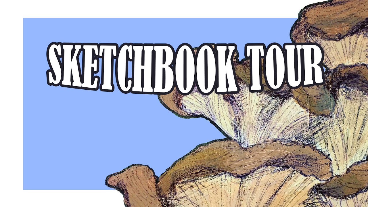 IB Sketchbook YouTube