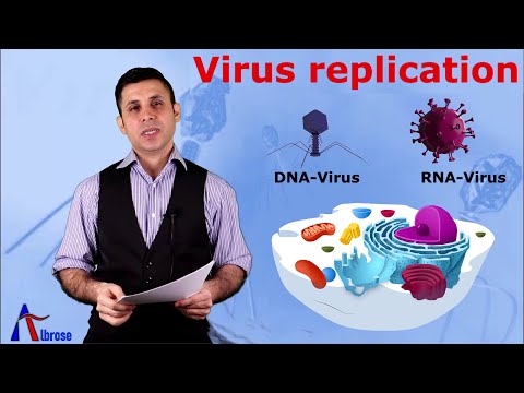 Virology 05 Virus Replication - علم الفيروسات 05 تكاثر الفيروسات