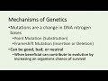 Biomolecules and Cell Characteristics in Living Organisms