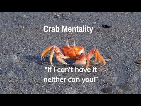 Video: Hinihila Ka Ng Iyong Mga Kaibigan Sa BOTTOM. O Ang Crab Bucket Na Kababalaghan