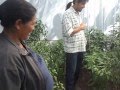 SEBAJ -Testimonio beneficiaria de huerto en comunidad de San Felipe, Gto