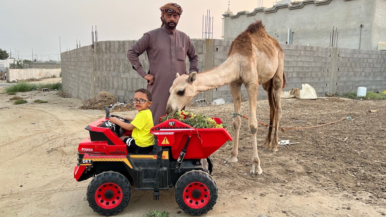 حمودي يجيب أكل للجمل في السيارة الجديدة 2027😢🐫#سيارات_اطفال 