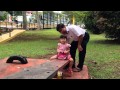 Ying Ying With Grandpa on KongKong....