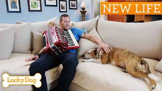 Abandoned Aussie Cattle Dog Gets Second Chance | Lucky Dog Double Episode